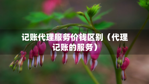 记账代理服务价钱区别（代理记账的服务）