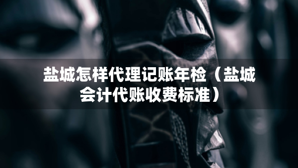 盐城怎样代理记账年检（盐城会计代账收费标准）