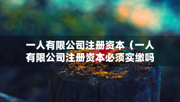 一人有限公司注册资本（一人有限公司注册资本必须实缴吗）