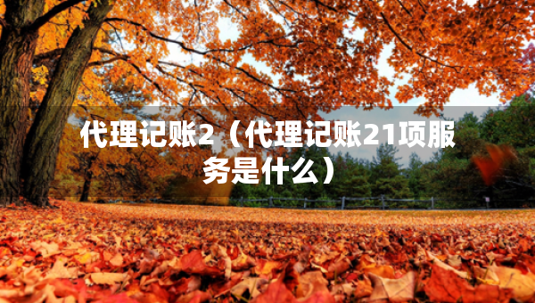 代理记账2(代理记账21项服务是什么) 代理记账2(代理记账21项服务是什么)