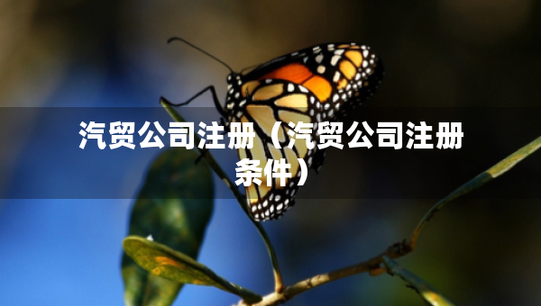 汽贸公司注册（汽贸公司注册条件）