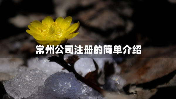 常州公司注册的简单介绍