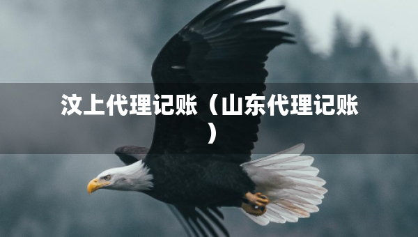 汶上代理记账（山东代理记账）