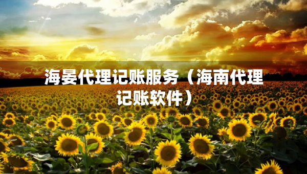 海晏代理记账服务（海南代理记账软件）