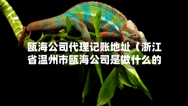 瓯海公司代理记账地址（浙江省温州市瓯海公司是做什么的）