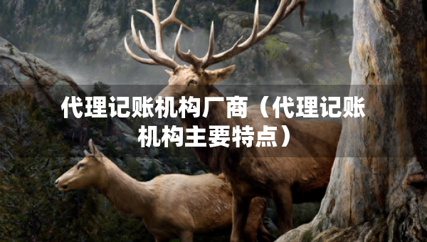 代理记账机构厂商(代理记账机构主要特点) 代理记账机构厂商(代理记账机构主要特点)