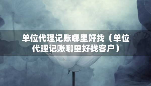 单位代理记账哪里好找（单位代理记账哪里好找客户）
