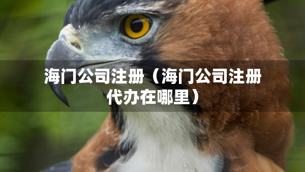 海门公司注册（海门公司注册代办在哪里）