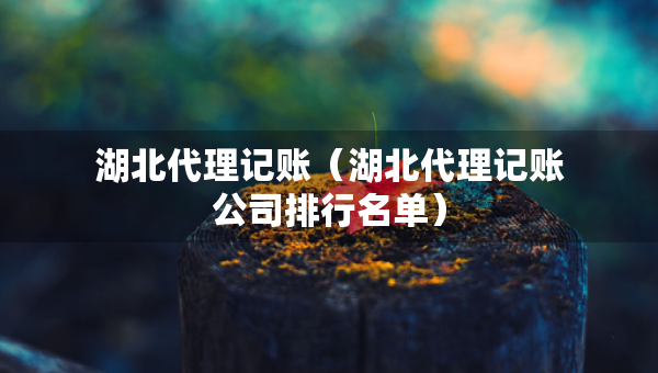 湖北代理记账（湖北代理记账公司排行名单）