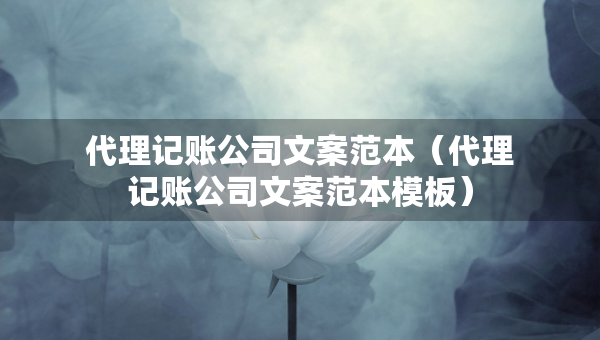 代理记账公司文案范本（代理记账公司文案范本模板）