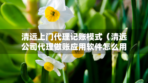 清远上门代理记账模式（清远公司代理做账应用软件怎么用）