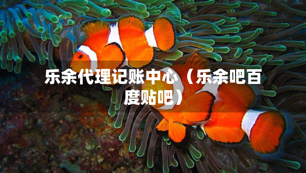 乐余代理记账中心（乐余吧百度贴吧）