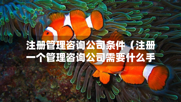 注册管理咨询公司条件（注册一个管理咨询公司需要什么手续）