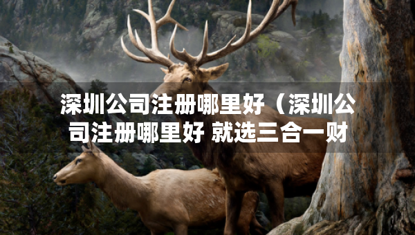 深圳公司注册哪里好（深圳公司注册哪里好 就选三合一财税）