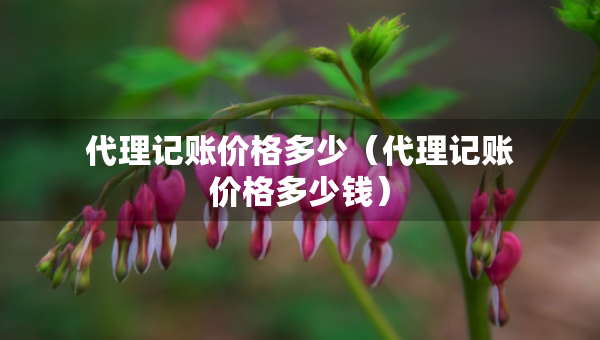 代理记账价格多少（代理记账价格多少钱）