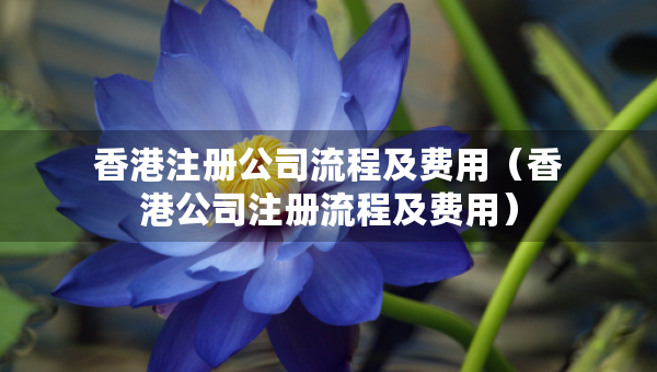 香港注册公司流程及费用（香港公司注册流程及费用）