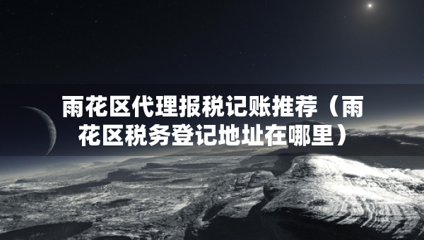 雨花区代理报税记账推荐（雨花区税务登记地址在哪里）