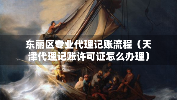 东丽区专业代理记账流程（天津代理记账许可证怎么办理）