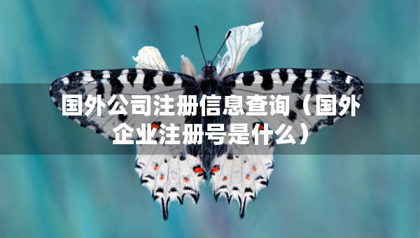 国外公司注册信息查询（国外企业注册号是什么）