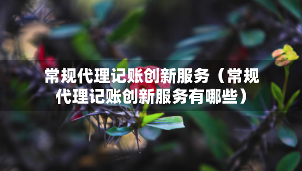 常规代理记账创新服务（常规代理记账创新服务有哪些）