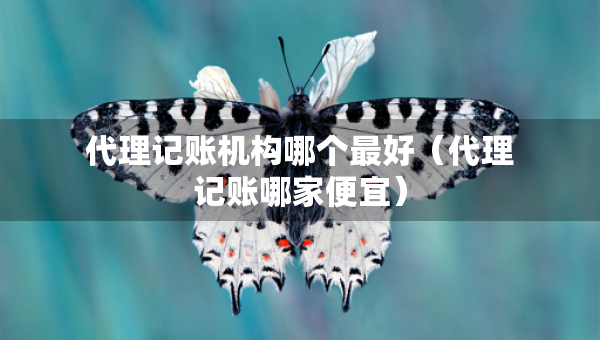 代理记账机构哪个最好（代理记账哪家便宜）