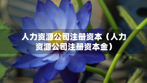 人力资源公司注册资本（人力资源公司注册资本金）