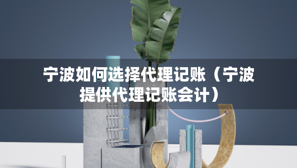 宁波如何选择代理记账（宁波提供代理记账会计）