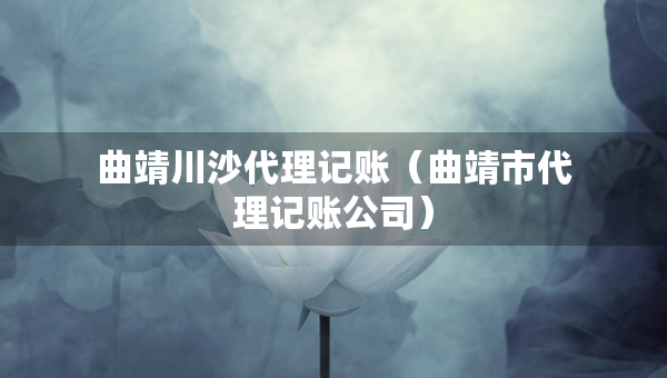 曲靖川沙代理记账（曲靖市代理记账公司）