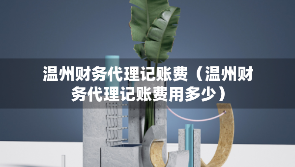 温州财务代理记账费（温州财务代理记账费用多少）