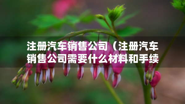 注册汽车销售公司（注册汽车销售公司需要什么材料和手续）