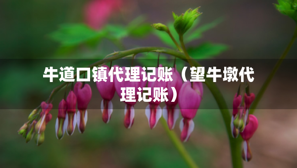 牛道口镇代理记账（望牛墩代理记账）