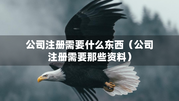 公司注册需要什么东西（公司注册需要那些资料）
