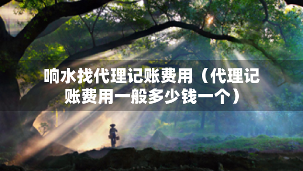 响水找代理记账费用(代理记账费用一般多少钱一个) 响水找代理记账费用(代理记账费用一般多少钱一个)