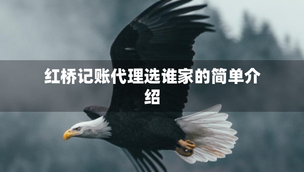 红桥记账代理选谁家的简单介绍
