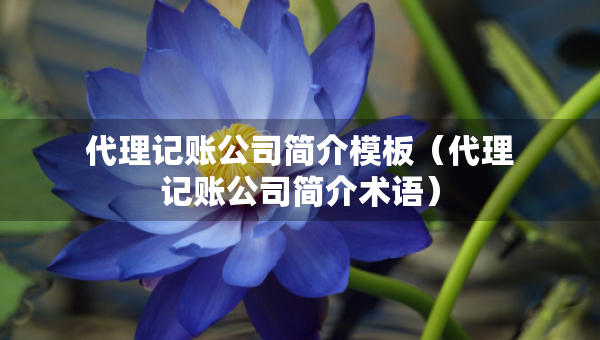 代理记账公司简介模板（代理记账公司简介术语）