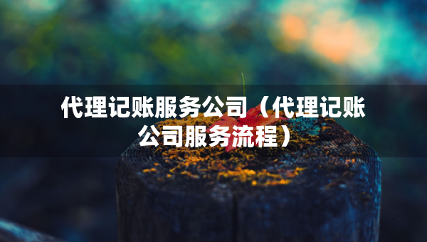 代理记账服务公司（代理记账公司服务流程）