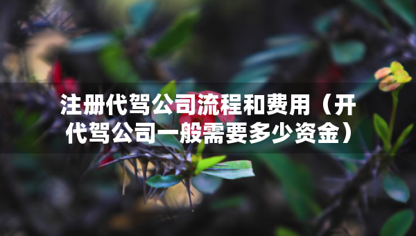 注册代驾公司流程和费用（开代驾公司一般需要多少资金）