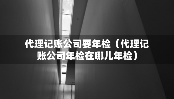 代理记账公司要年检（代理记账公司年检在哪儿年检）
