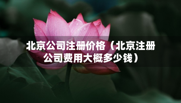 北京公司注册价格（北京注册公司费用大概多少钱）