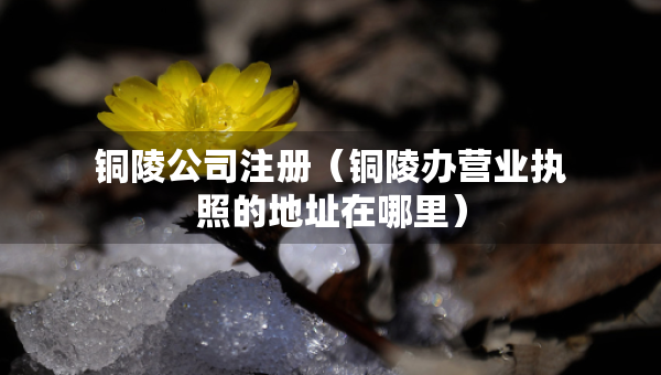铜陵公司注册（铜陵办营业执照的地址在哪里）