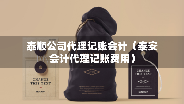 泰顺公司代理记账会计（泰安会计代理记账费用）