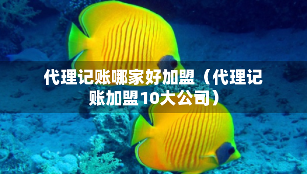 代理记账哪家好加盟（代理记账加盟10大公司）