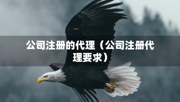 公司注册的代理（公司注册代理要求）
