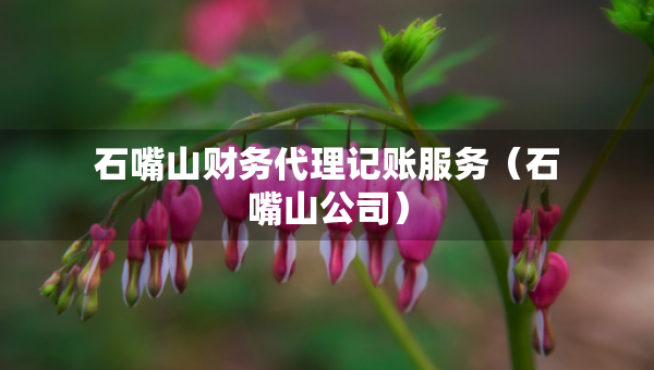石嘴山财务代理记账服务（石嘴山公司）