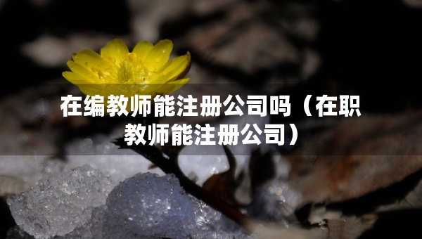 在编教师能注册公司吗（在职教师能注册公司）