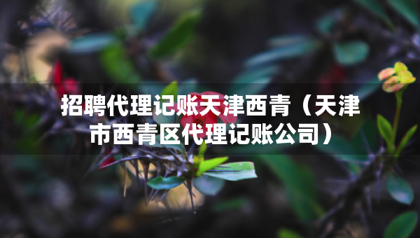 招聘代理记账天津西青（天津市西青区代理记账公司）