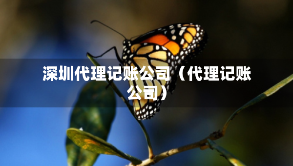 深圳代理记账公司（代理记账公司）