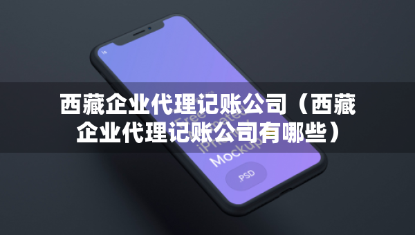 西藏企业代理记账公司（西藏企业代理记账公司有哪些）