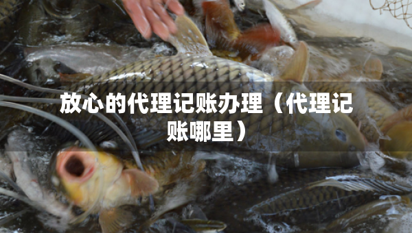放心的代理记账办理（代理记账哪里）