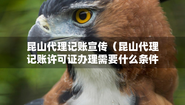 昆山代理记账宣传（昆山代理记账许可证办理需要什么条件）
